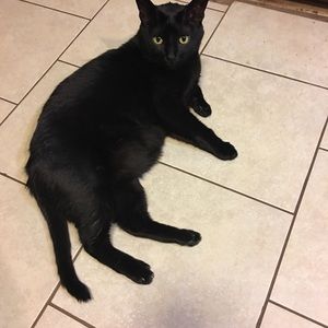 Meet your Posher, Kristine